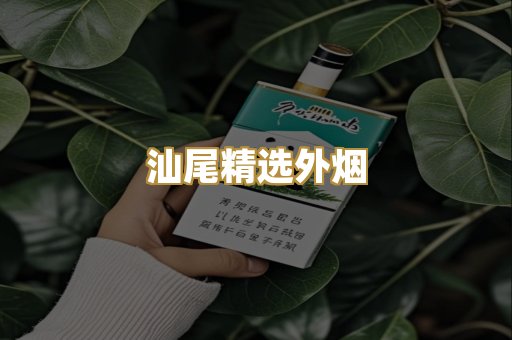 汕尾精选外烟